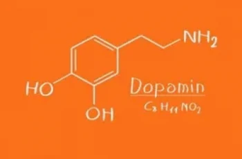 Dopamin: Nedir, Ne İşe Yarar?